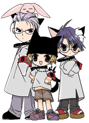 dgc-pko-sd.gif